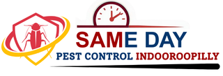 Same Daye Pest Control Indooroopilly